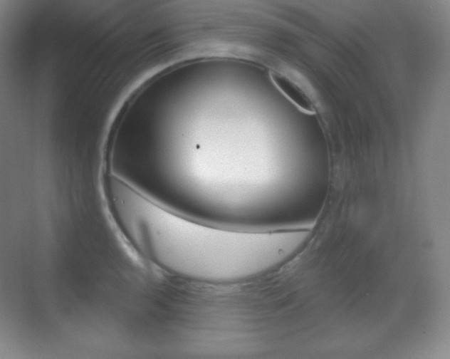 X0000070241136200606020926