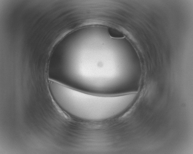 X0000070241137200606020926