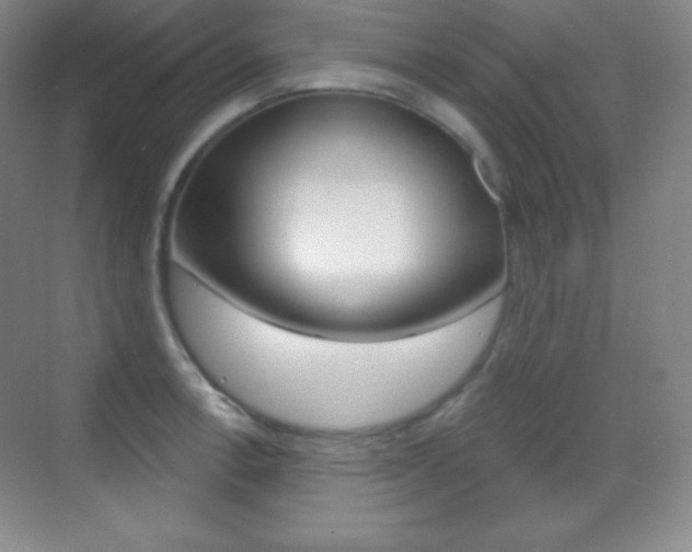X0000070241138200606020926
