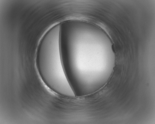 X0000070241139200606020926