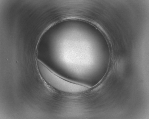 X0000070241145200606020926