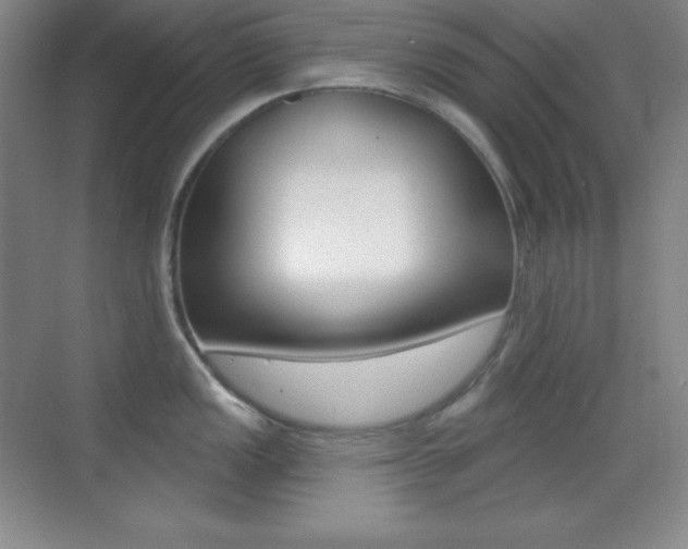 X0000070241149200606020926