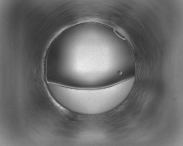 X0000070241151200606020926