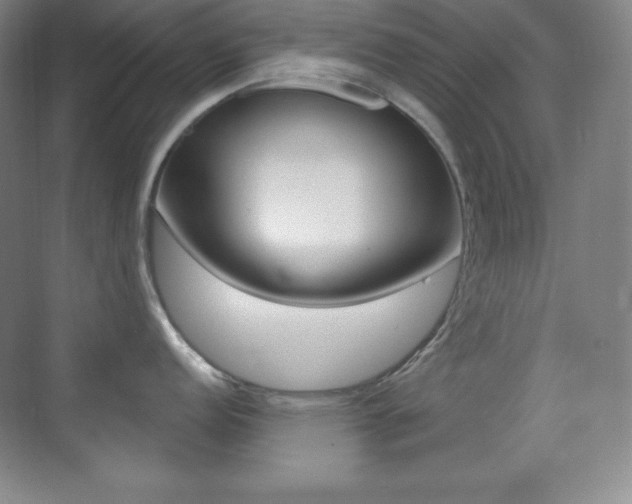 X0000070241152200606020926