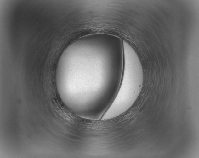X0000070241153200606020925