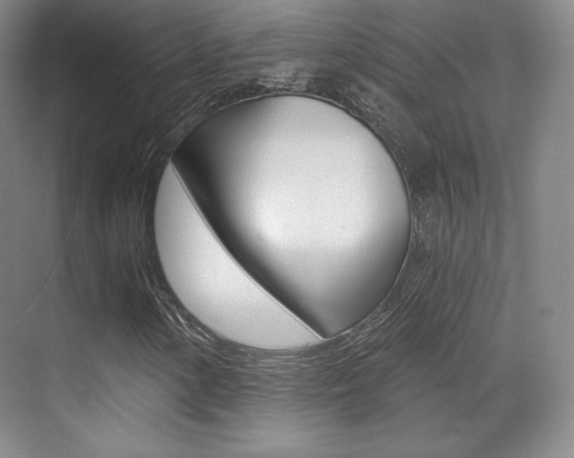X0000070241154200606020925