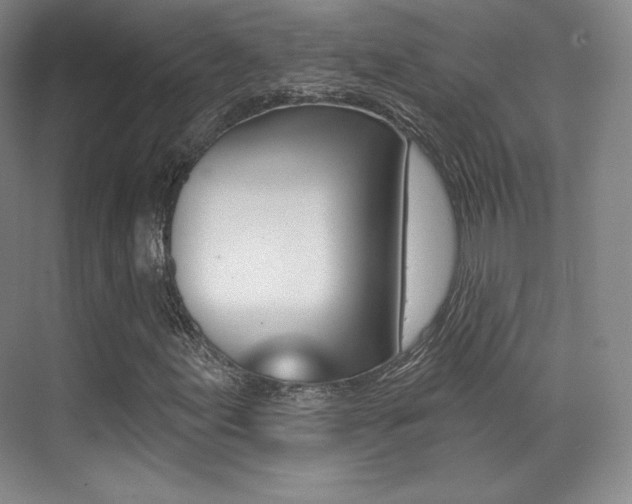 X0000070241155200606020925