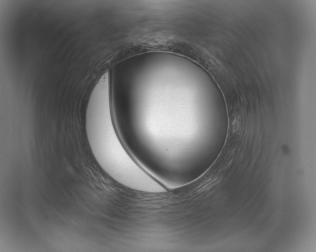 X0000070241156200606020925