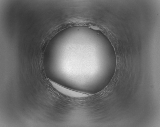 X0000070241157200606020925
