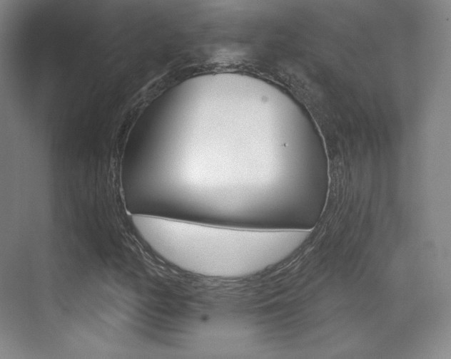 X0000070241158200606020925