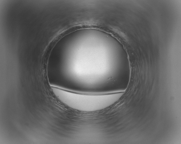 X0000070241160200606020925