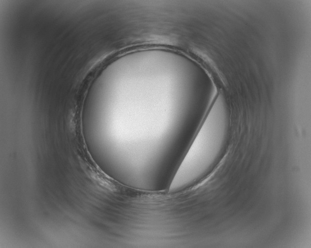 X0000070241163200606020925