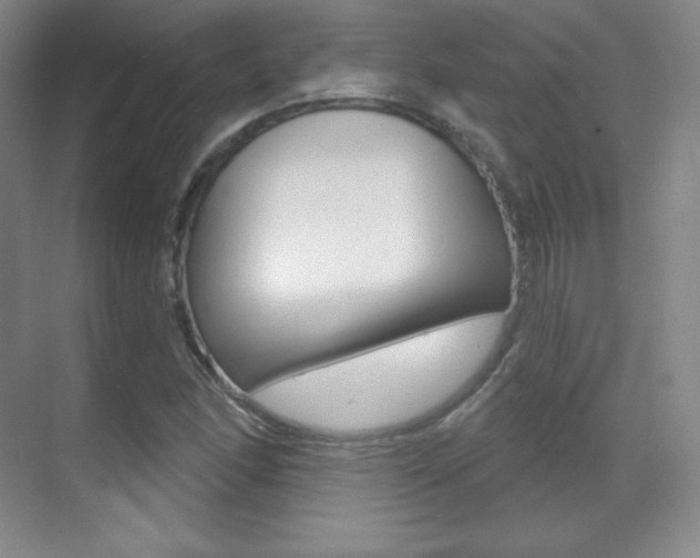 X0000070241166200606020925