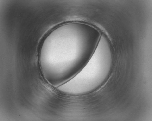 X0000070241167200606020925