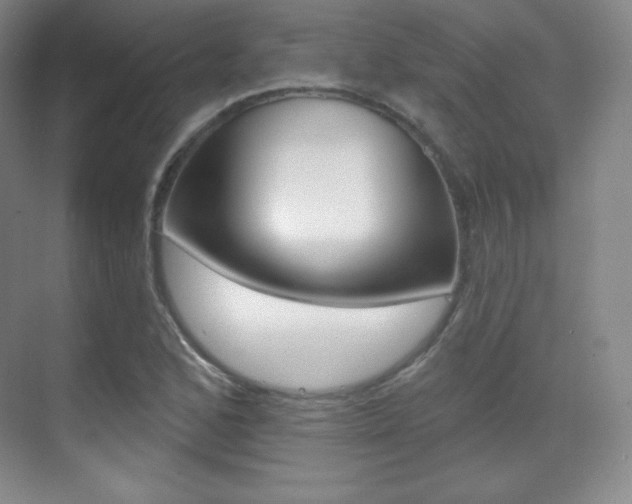 X0000070241168200606020925