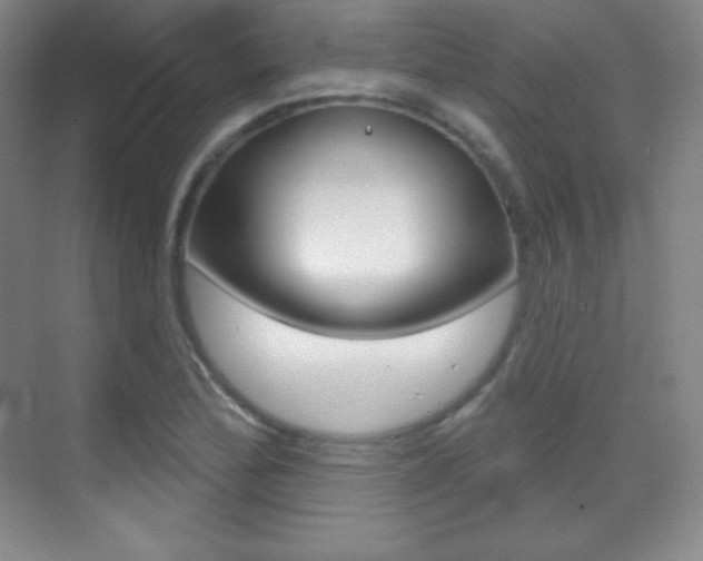 X0000070241172200606020925