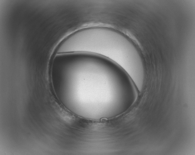 X0000070241173200606020925