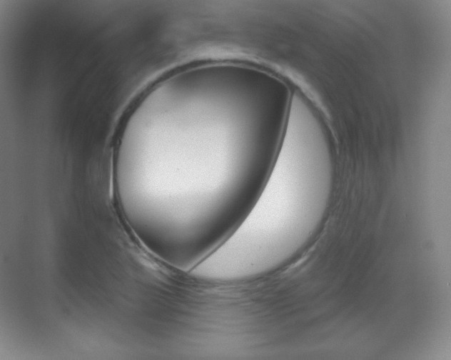 X0000070241175200606020925