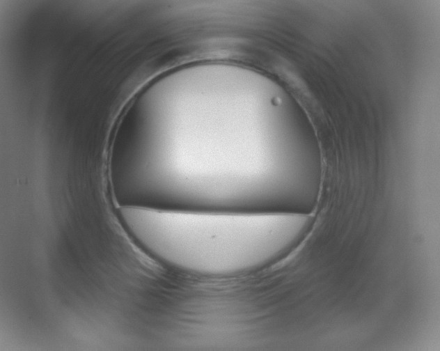 X0000070241178200606020925