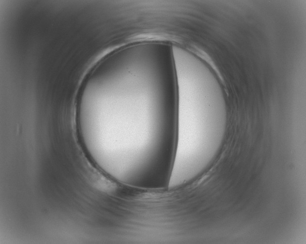 X0000070241179200606020925