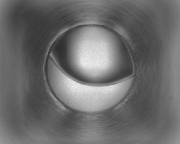 X0000070241181200606020925
