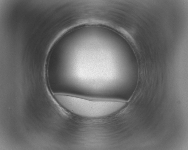 X0000070241183200606020925