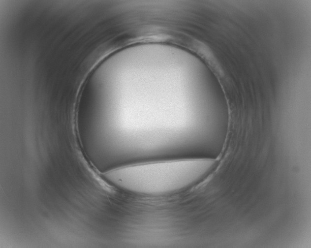 X0000070241186200606020925