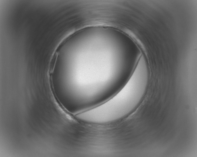 X0000070241189200606020925