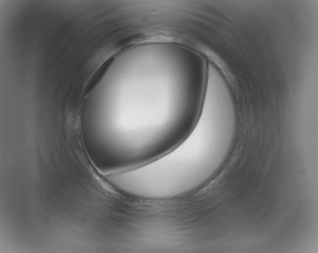 X0000070241193200606020925