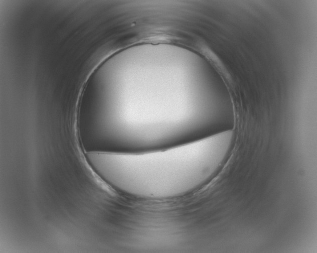 X0000070241194200606020924