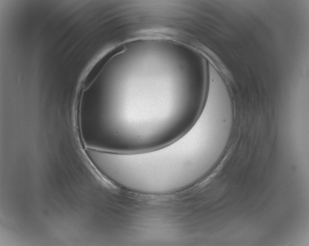 X0000070241196200606020924