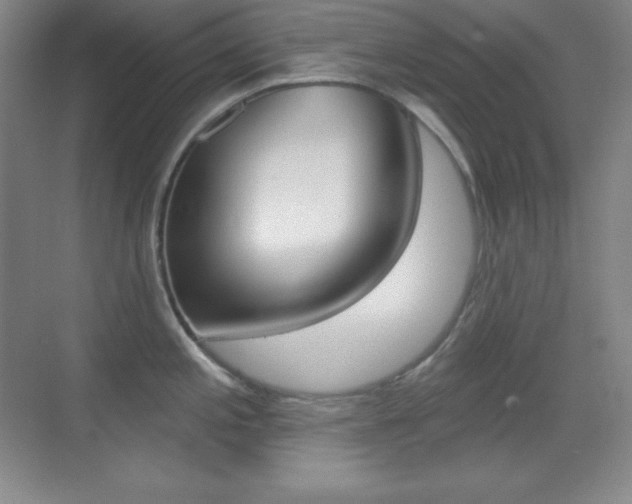 X0000070241197200606020924