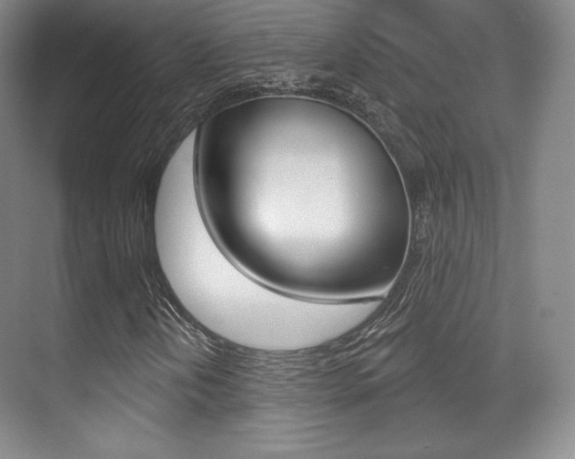 X0000070241202200606020924
