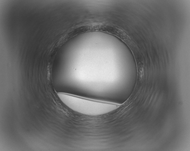X0000070241204200606020924