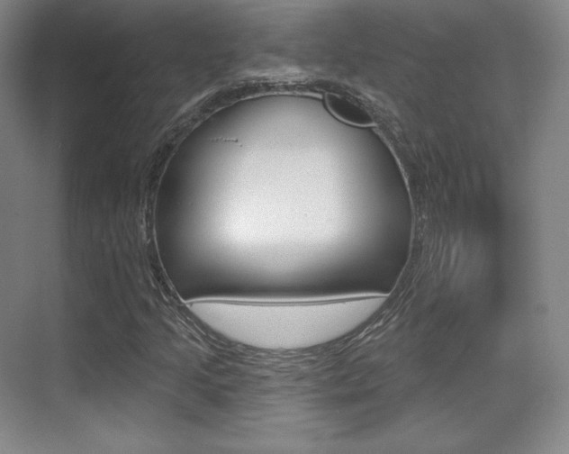 X0000070241205200606020924
