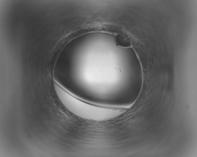 X0000070241206200606020924