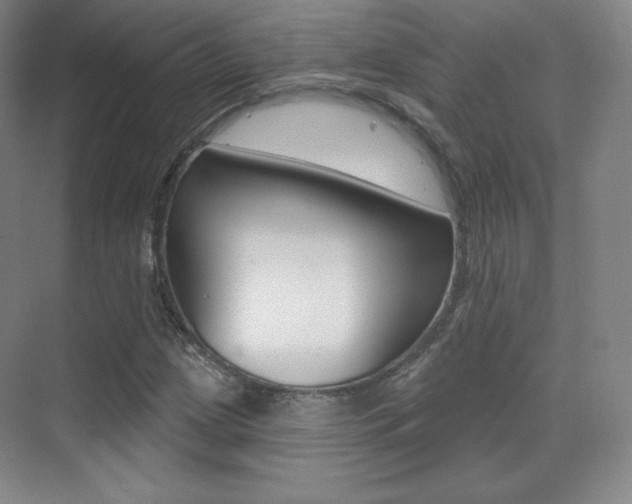 X0000070241209200606020924
