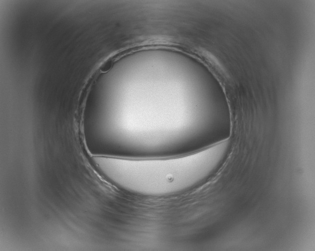 X0000070241212200606020924