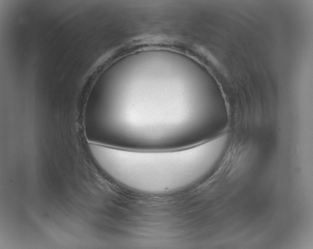 X0000070241213200606020924