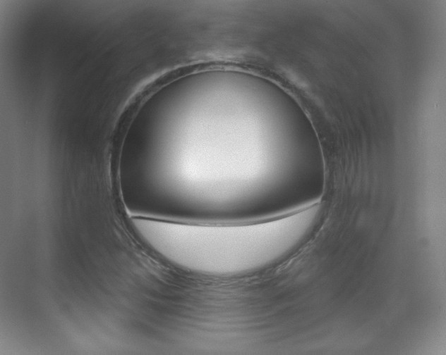 X0000070241214200606020924