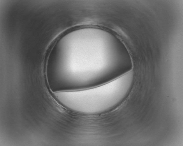 X0000070241216200606020924
