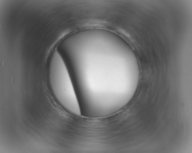 X0000070241219200606020924