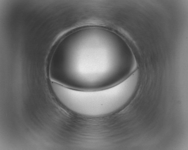 X0000070241222200606020924