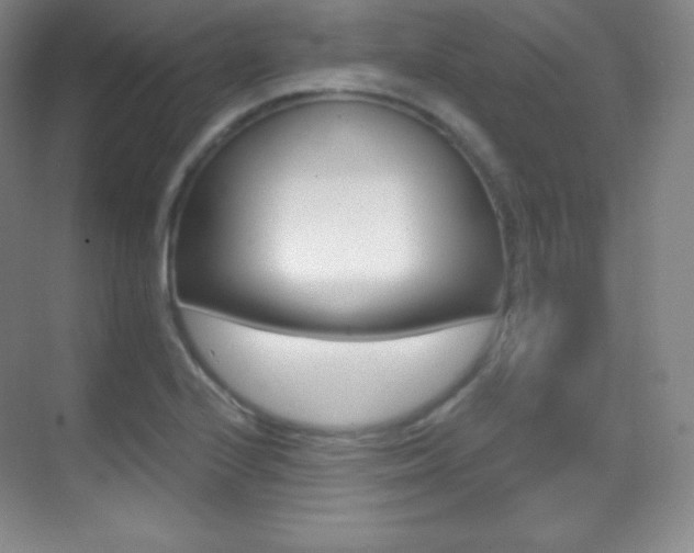 X0000070241224200606020924