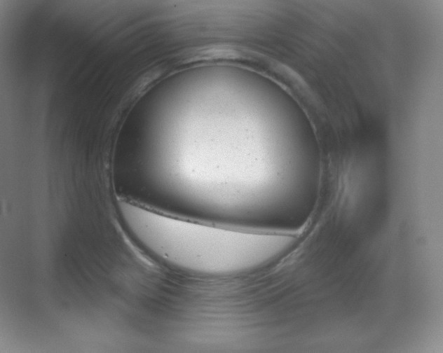 X0000070241225200606020924