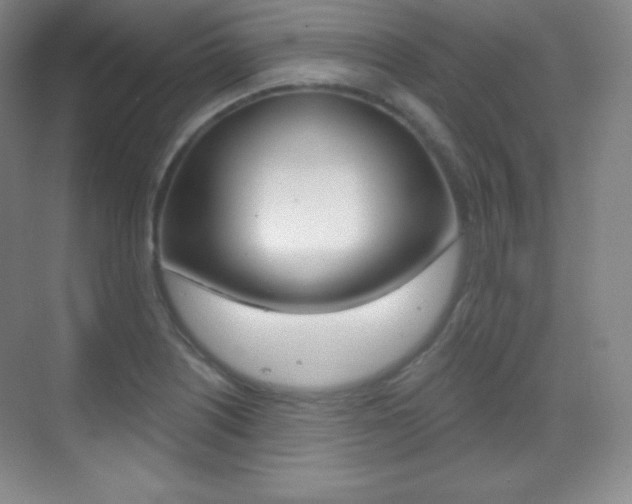 X0000070241226200606020924