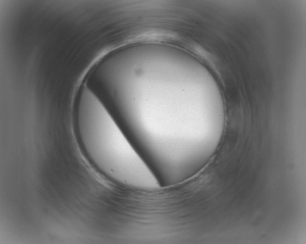 X0000070241227200606020924