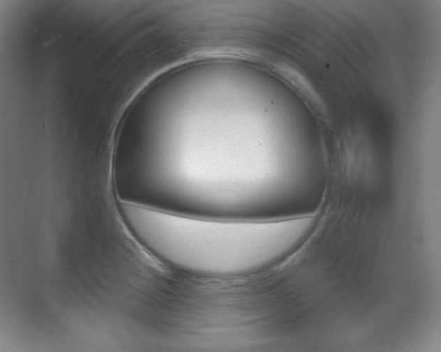 X0000070241228200606020924