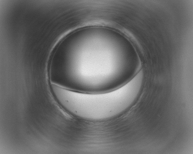 X0000070241230200606020924