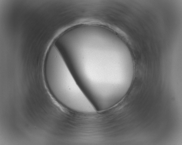 X0000070241231200606020924